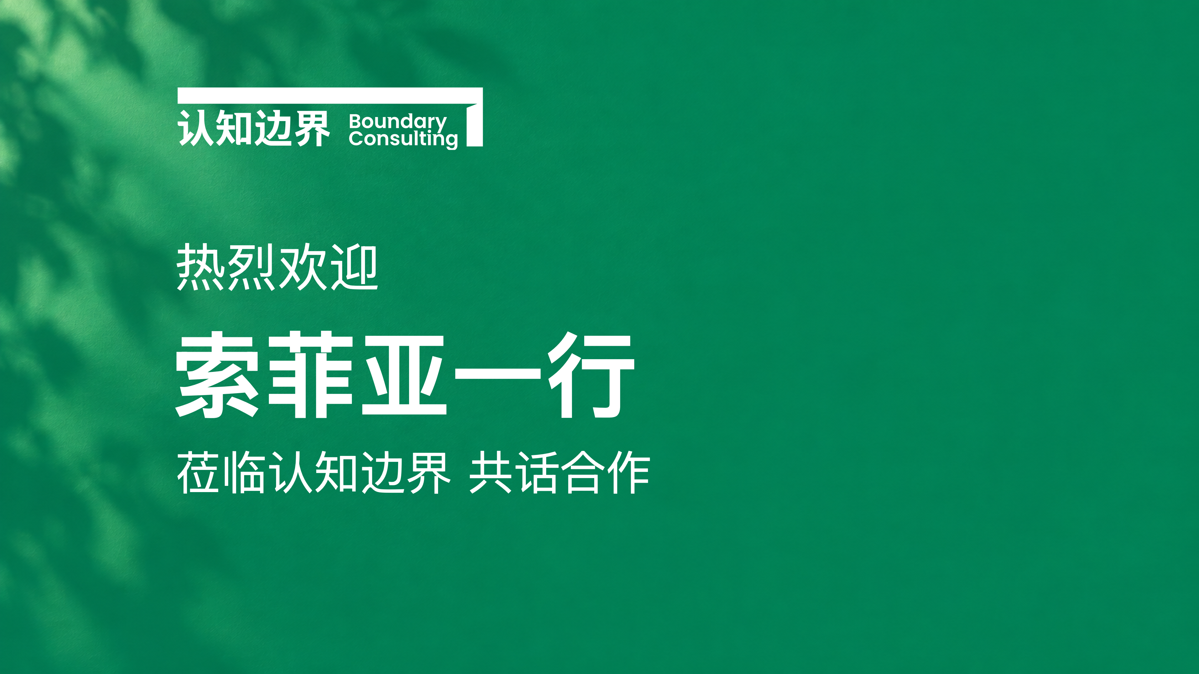 左屏